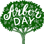 Read more about the article Celebrate Arbor Day 2024